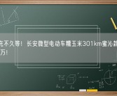 上快充不久等！长安微型电动车糯玉米301km蜜沁款上市：6.19万！