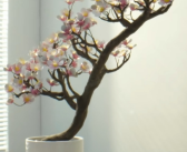 真“铁树开花”！何同学用记忆金属做了一盆花：光照开花！