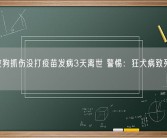 男子被狗抓伤没打疫苗发病3天离世 警惕：狂犬病致死率99%！