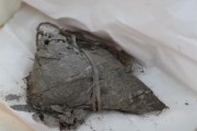 900年前的粽子长啥样 专家：肉粽！