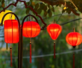 这个龙年比刚过去的兔年少30天 专家释疑：今年是平年！