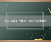 小米14要来 卢伟冰：10月会非常精彩!