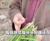 意外吃到去世10年爷爷种的韭菜 孙女当场泪崩！