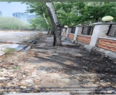 手欠！男子吸烟时点燃柳絮引发火灾被拘10日