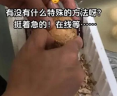 网友不会吃河南变蛋 评论区教学 到底什么情况