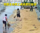 超暖心！下雨家里没人邻居纷纷带着工具帮忙抢收麦子