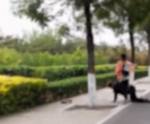 父亲因没钱给女儿买手机自责跪地 到底什么情况