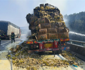 10万枚鸡蛋差点全烤熟！散落高速一片狼藉!