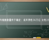 人体内细胞数量终于确定：成年男性36万亿 女性28万亿!