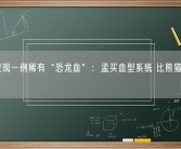 浙江发现一例稀有“恐龙血”：孟买血型系统 比熊猫血更罕见！