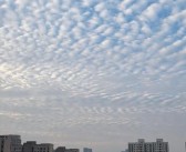 合肥天空现大片鱼鳞云：画面壮观！