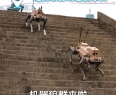 中国造出机器狼群兵器：头狼、射手、辅助 多角色协同作战！