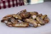蛏子多少钱一斤（市场价格参考：蛏子价格一斤多少）