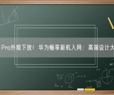 P60 Pro外观下放！华为畅享新机入网：高端设计大众化！