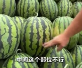 验瓜师每天拍上万个西瓜收入千元 现场教你挑选甜甜的“梦中情瓜”！