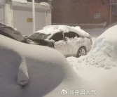 黑龙江暴雪过后 鹤岗车主挖宝寻车：挖到车牌才知道是谁的车！