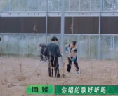 有些“迷糊”!闫妮怎么下地干活也微醺啊