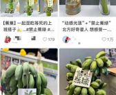 被打工人捧红的苹果蕉是什么 具体怎么回事
