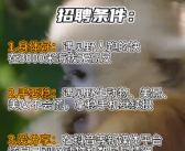 神农架招聘要求“遇见野人跑得快”！官方回应：属实！