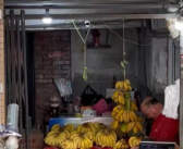 水果店开了二十几年只卖香蕉 到底啥情况
