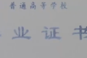 女子用假文凭入职被发现后起诉索赔 法院判了！