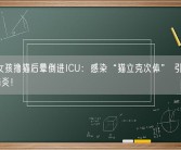 12岁女孩撸猫后晕倒进ICU：感染“猫立克次体” 引发重症脑膜脑炎！