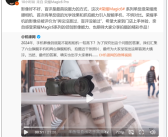 荣耀Magic 6 Pro夺得机锋年度影像大横评榜首 姜海荣：舆论没赢过盲评没输过！
