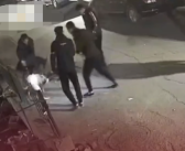 数名男子深夜斗狗 流浪猫被撕咬 警方回应正在处理！