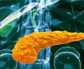 糖尿病突破！科学家成功3D打印全功能人类胰岛!