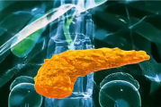 糖尿病突破！科学家成功3D打印全功能人类胰岛!