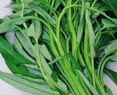 空心菜是抽筋菜吃完会抽筋?谣言！
