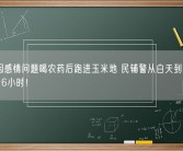 女子因感情问题喝农药后跑进玉米地 民辅警从白天到黑夜搜寻了16小时！