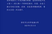 官方通报男子跳至兵马俑三号坑：造成二级文物两尊铠甲武士俑损坏！
