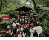 乐山大佛排队4小时才能看到佛脚 大唐不夜城已被六国游客攻陷！