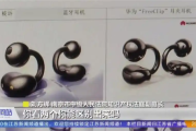 华为起诉山寨耳机要求赔偿1100万元 自称官方平替被退市！