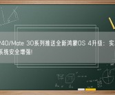 华为P40/Mate 30系列推送全新鸿蒙OS 4升级：实况窗优化、系统安全增强!