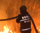 女子乱扔烟头致芦苇荡起火 依法行政拘留10日！