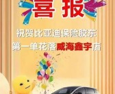 曝比亚迪保险首张保单开出：3900元 免费送给海豚新车主！