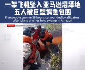 飞机故障迫降亚马逊鳄鱼巢穴 获救者：鳄鱼和蛇整晚盯着我们！