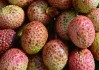 过量食用荔枝或引发“荔枝病”：严重时可导致昏迷!