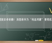 逐步摆脱安卓依赖！消息称华为“纯血鸿蒙”要彻底做自己生态！