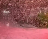 男生去接女朋友的路上偶遇樱花雨 美得不可思议！