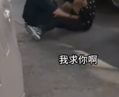 未拴绳的狗被车压死 主人后悔莫及 扇脸大哭！
