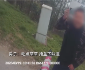 男子酒驾被查：狂吃路边青草！