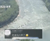 五一的桂林快忙成马六甲了 场面堪比周瑜调集东吴水军!