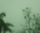 广东清远遭暴雨出现“绿色天空” 气象学家回应！