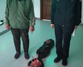 男子获理赔后又将病死牛挖出来卖被抓 民警将已销售的120余斤牛肉等全部追回！