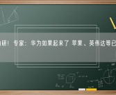 芯片自研！专家：华为如果起来了 苹果、英伟达等已开始下去！
