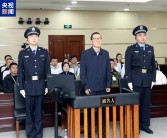紫光集团原董事长赵伟国一审被判死缓！造成损失超14亿元！