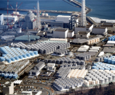 身体诚实：日本人均一年食用海鲜22公斤 暴降近50%：核废水排海等原因！